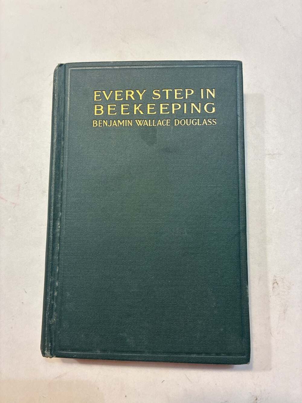 Every Step in Beekeeping: A Book for Amateur and Professional by Benjamin Wallac
